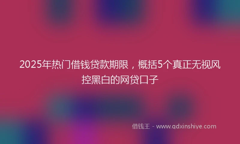 2025年热门借钱贷款期限，概括5个真正无视风控黑白的网贷口子