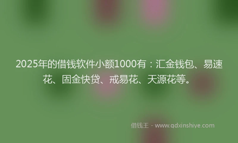 2025年的借钱软件小额1000有：汇金钱包、易速花、固金快贷、戒易花、天源花等。