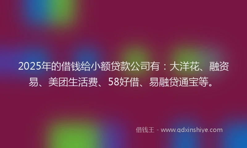 2025年的借钱给小额贷款公司有：大洋花、融资易、美团生活费、58好借、易融贷通宝等。