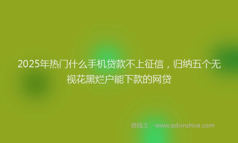 2025年热门什么手机贷款不上征信，归纳五个无视花黑烂户能下款的网贷