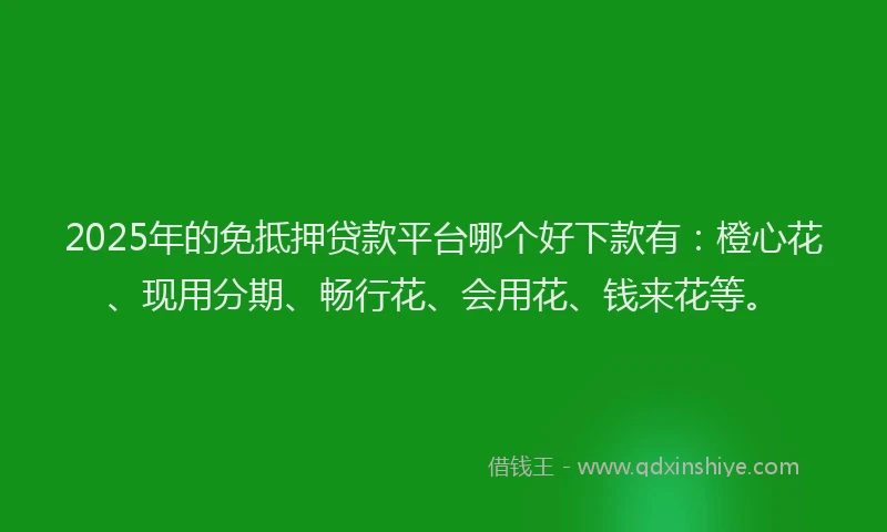 2025年的免抵押贷款平台哪个好下款有：橙心花、现用分期、畅行花、会用花、钱来花等。