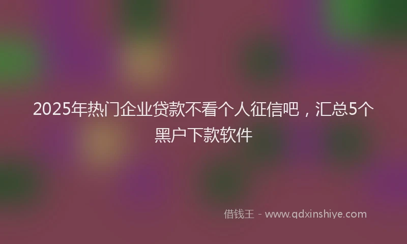 2025年热门企业贷款不看个人征信吧，汇总5个黑户下款软件