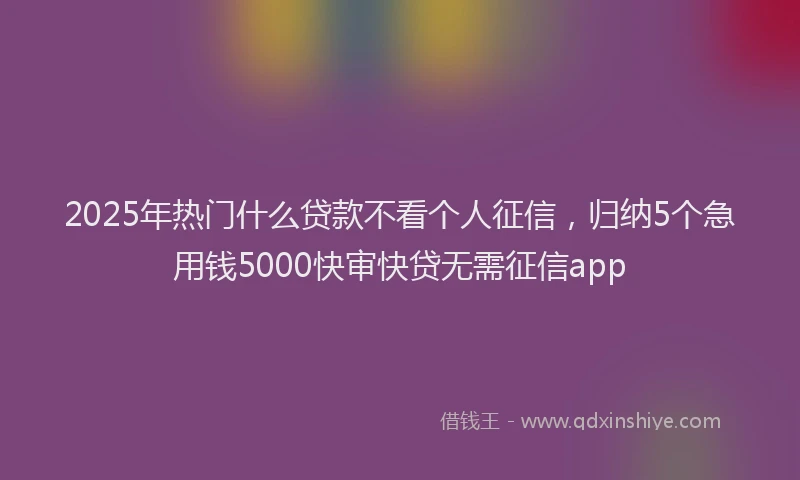 2025年热门什么贷款不看个人征信，归纳5个急用钱5000快审快贷无需征信app