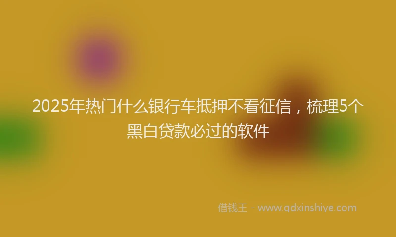 2025年热门什么银行车抵押不看征信，梳理5个黑白贷款必过的软件