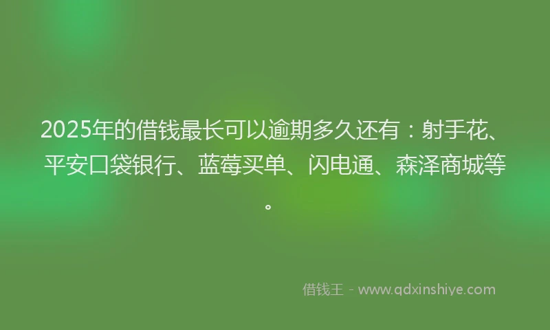 2025年的借钱最长可以逾期多久还有：射手花、平安口袋银行、蓝莓买单、闪电通、森泽商城等。