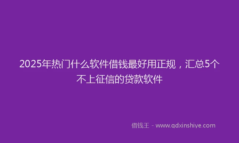 2025年热门什么软件借钱最好用正规，汇总5个不上征信的贷款软件