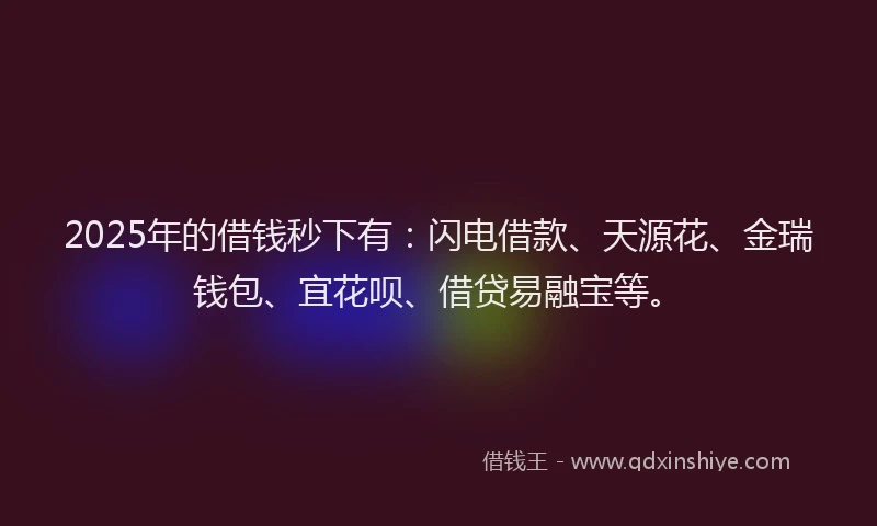 2025年的借钱秒下有：闪电借款、天源花、金瑞钱包、宜花呗、借贷易融宝等。