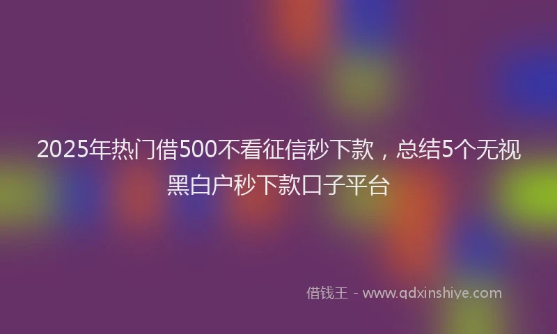 2025年热门借500不看征信秒下款，总结5个无视黑白户秒下款口子平台