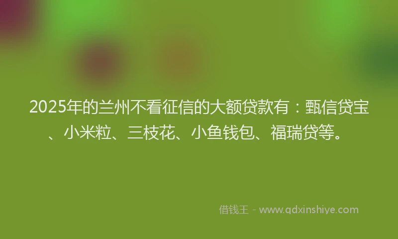 2025年的兰州不看征信的大额贷款有：甄信贷宝、小米粒、三枝花、小鱼钱包、福瑞贷等。