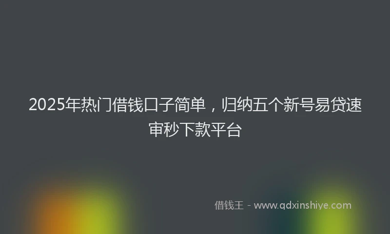2025年热门借钱口子简单，归纳五个新号易贷速审秒下款平台