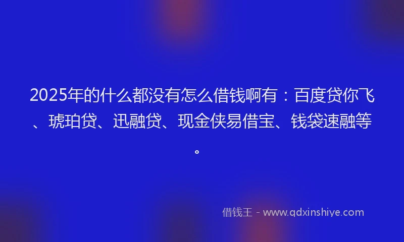 2025年的什么都没有怎么借钱啊有：百度贷你飞、琥珀贷、迅融贷、现金侠易借宝、钱袋速融等。