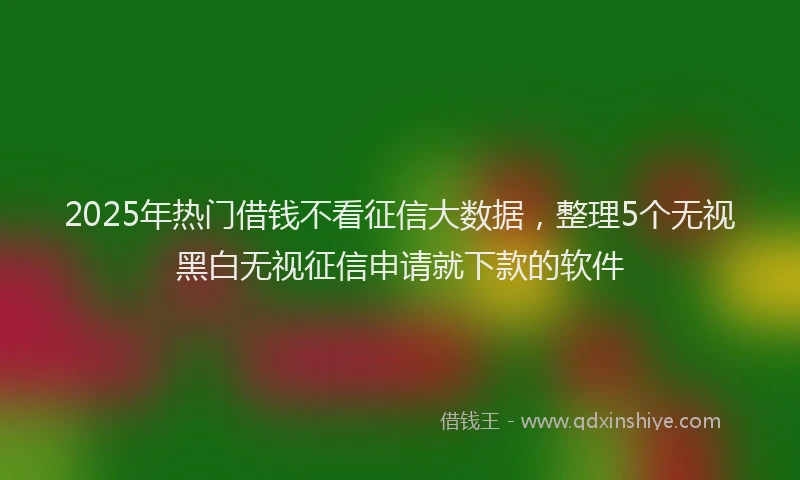 2025年热门借钱不看征信大数据，整理5个无视黑白无视征信申请就下款的软件