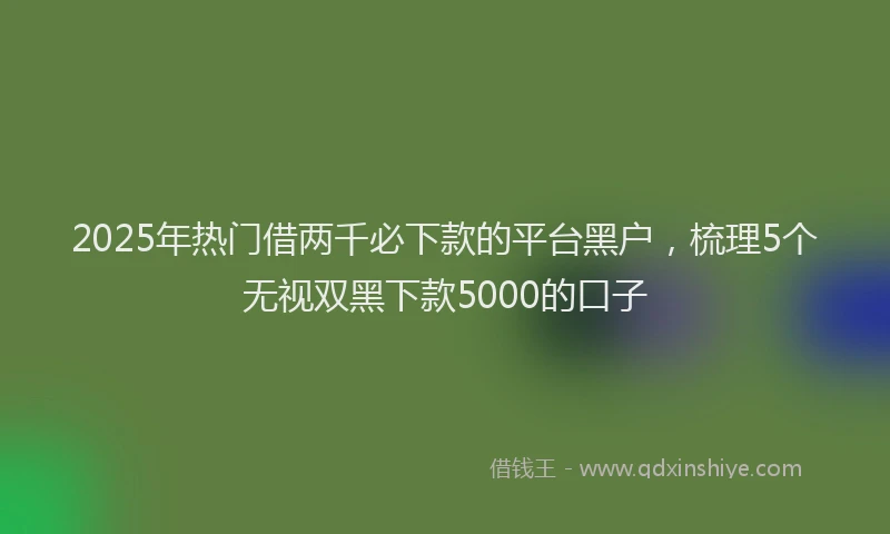 2025年热门借两千必下款的平台黑户，梳理5个无视双黑下款5000的口子