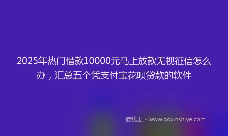 2025年热门借款10000元马上放款无视征信怎么办，汇总五个凭支付宝花呗贷款的软件