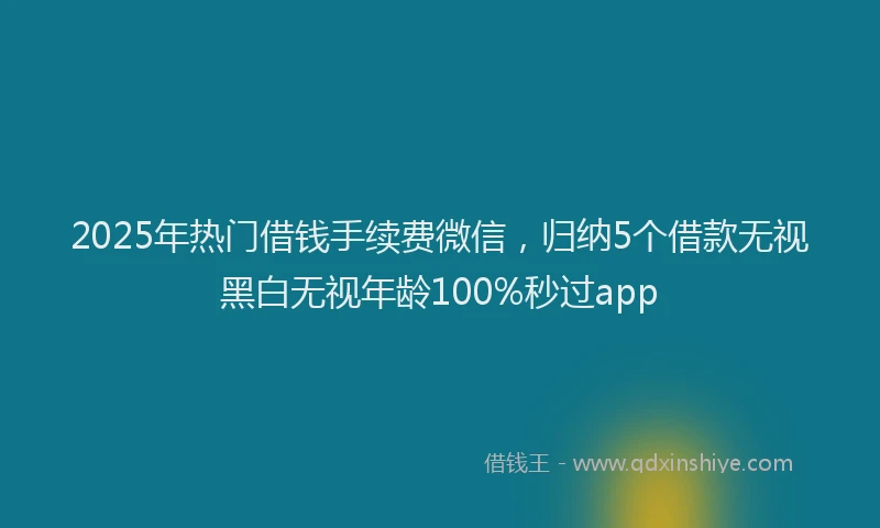 2025年热门借钱手续费微信，归纳5个借款无视黑白无视年龄100%秒过app