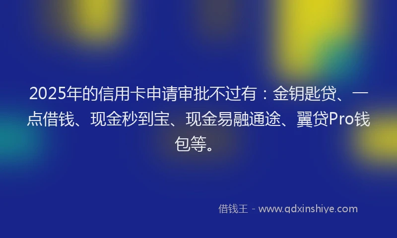 2025年的信用卡申请审批不过有：金钥匙贷、一点借钱、现金秒到宝、现金易融通途、翼贷Pro钱包等。