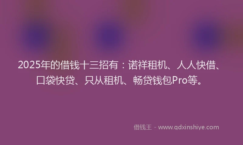 2025年的借钱十三招有：诺祥租机、人人快借、口袋快贷、只从租机、畅贷钱包Pro等。
