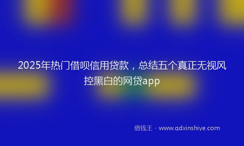 2025年热门借呗信用贷款，总结五个真正无视风控黑白的网贷app