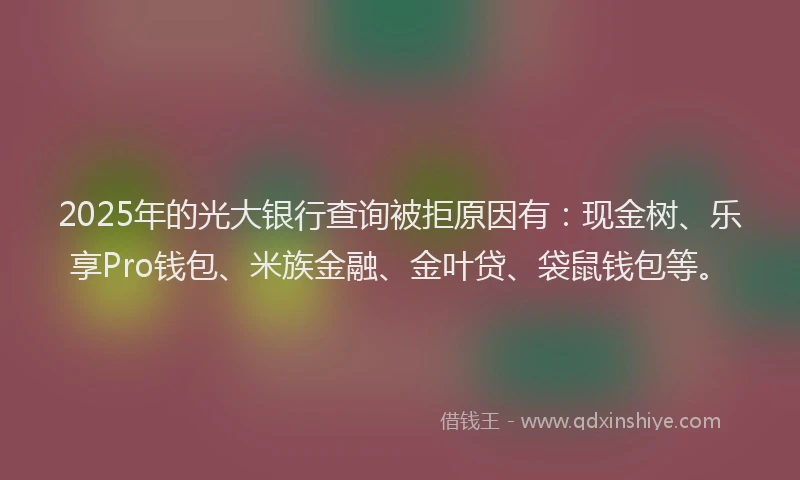 2025年的光大银行查询被拒原因有：现金树、乐享Pro钱包、米族金融、金叶贷、袋鼠钱包等。