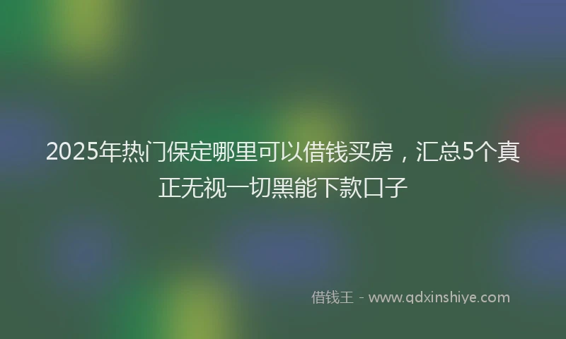 2025年热门保定哪里可以借钱买房，汇总5个真正无视一切黑能下款口子