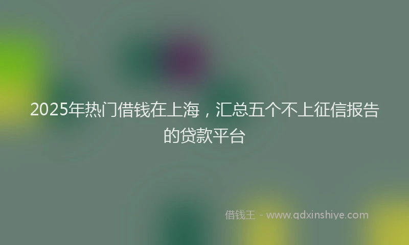 2025年热门借钱在上海，汇总五个不上征信报告的贷款平台