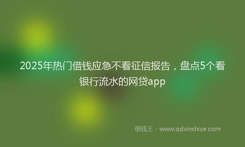 2025年热门借钱应急不看征信报告，盘点5个看银行流水的网贷app