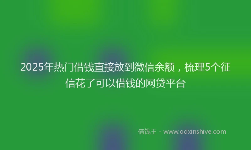 2025年热门借钱直接放到微信余额，梳理5个征信花了可以借钱的网贷平台