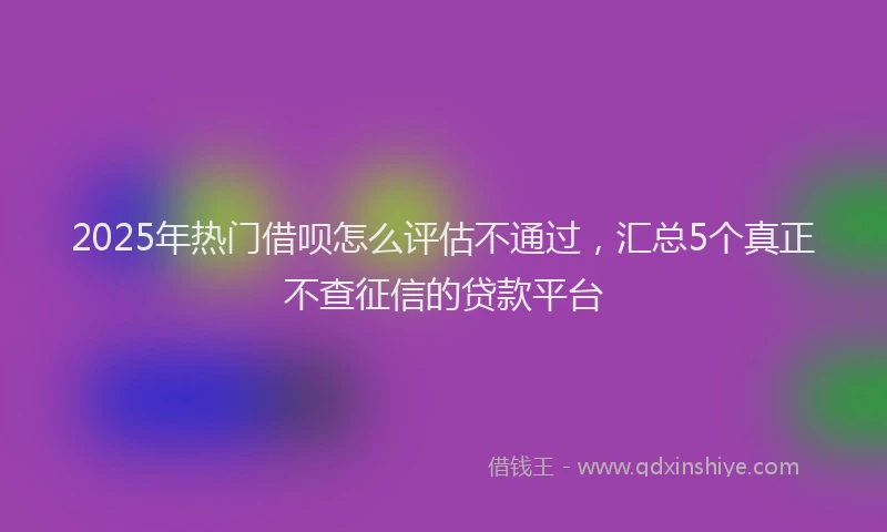 2025年热门借呗怎么评估不通过，汇总5个真正不查征信的贷款平台