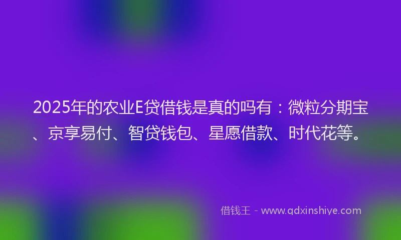 2025年的农业E贷借钱是真的吗有：微粒分期宝、京享易付、智贷钱包、星愿借款、时代花等。