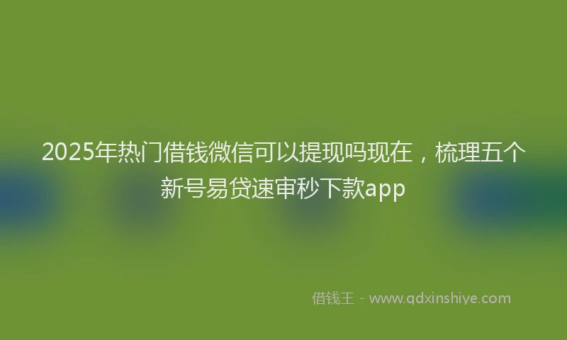 2025年热门借钱微信可以提现吗现在，梳理五个新号易贷速审秒下款app