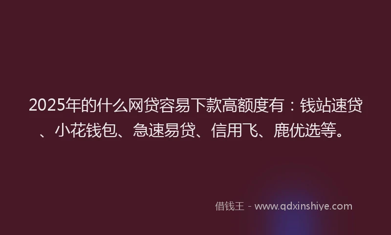 2025年的什么网贷容易下款高额度有：钱站速贷、小花钱包、急速易贷、信用飞、鹿优选等。