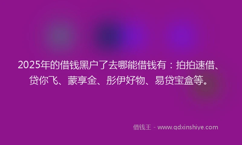 2025年的借钱黑户了去哪能借钱有：拍拍速借、贷你飞、蒙享金、彤伊好物、易贷宝盒等。