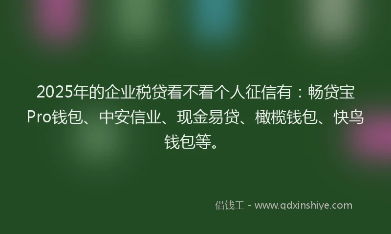 2025年的企业税贷看不看个人征信有：畅贷宝Pro钱包、中安信业、现金易贷、橄榄钱包、快鸟钱包等。