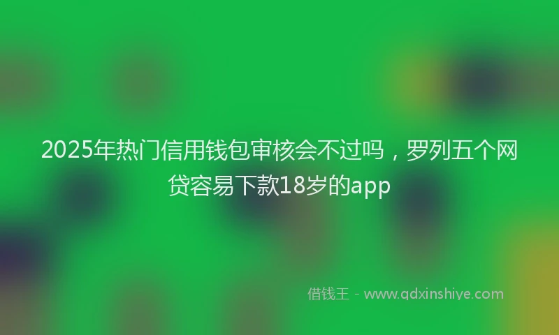 2025年热门信用钱包审核会不过吗，罗列五个网贷容易下款18岁的app