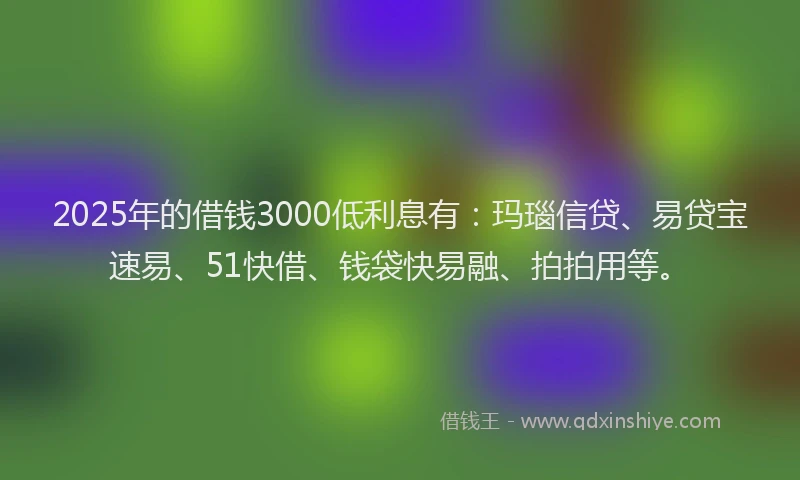 2025年的借钱3000低利息有：玛瑙信贷、易贷宝速易、51快借、钱袋快易融、拍拍用等。