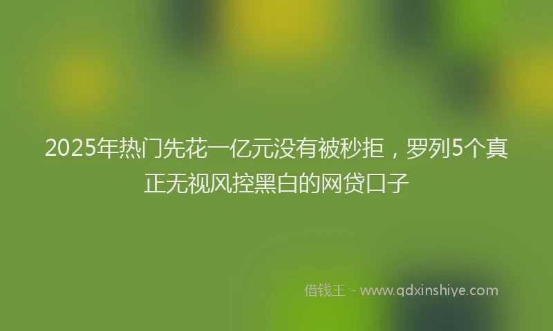 2025年热门先花一亿元没有被秒拒，罗列5个真正无视风控黑白的网贷口子