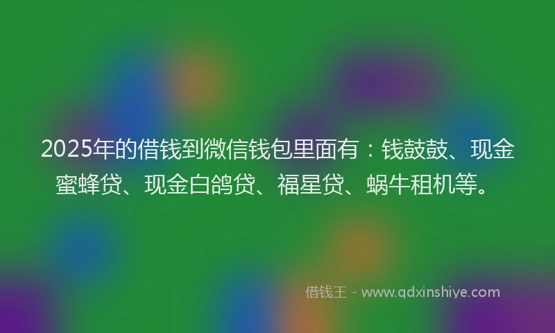 2025年的借钱到微信钱包里面有：钱鼓鼓、现金蜜蜂贷、现金白鸽贷、福星贷、蜗牛租机等。