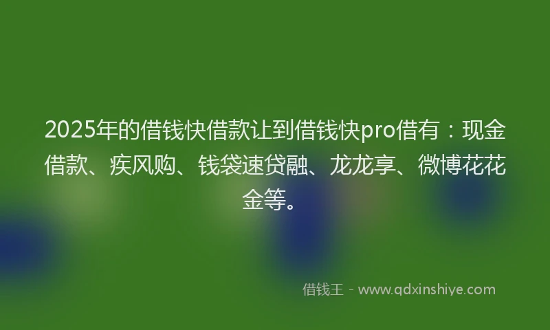 2025年的借钱快借款让到借钱快pro借有：现金借款、疾风购、钱袋速贷融、龙龙享、微博花花金等。