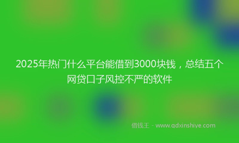 2025年热门什么平台能借到3000块钱，总结五个网贷口子风控不严的软件