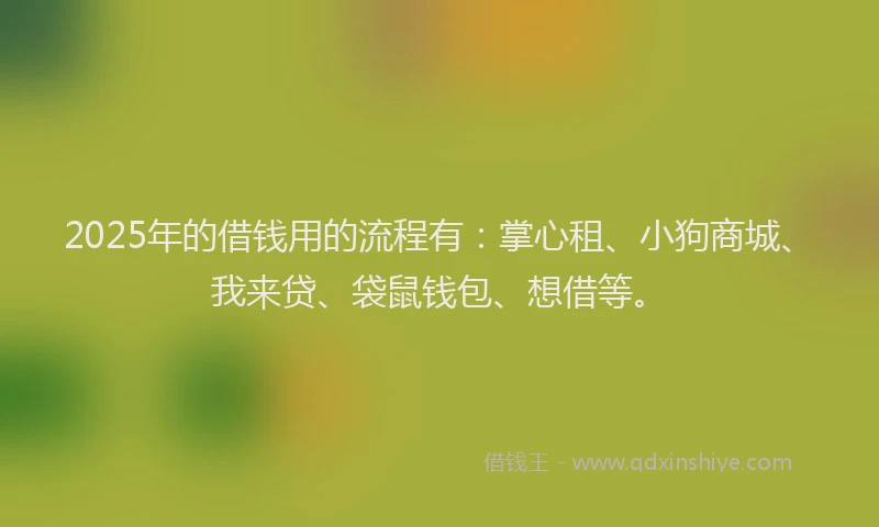 2025年的借钱用的流程有：掌心租、小狗商城、我来贷、袋鼠钱包、想借等。