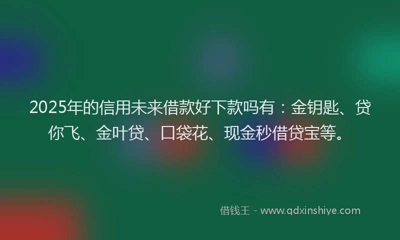 2025年的信用未来借款好下款吗有：金钥匙、贷你飞、金叶贷、口袋花、现金秒借贷宝等。