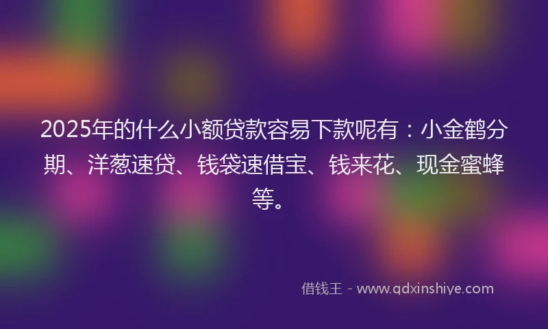 2025年的什么小额贷款容易下款呢有：小金鹤分期、洋葱速贷、钱袋速借宝、钱来花、现金蜜蜂等。