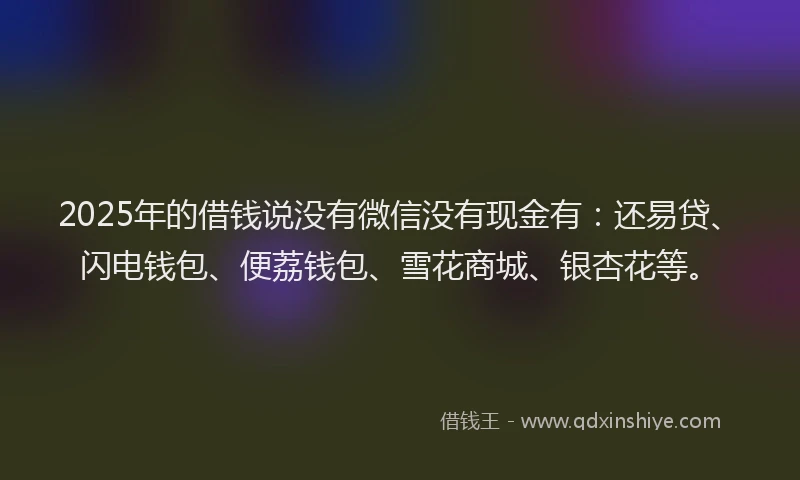 2025年的借钱说没有微信没有现金有：还易贷、闪电钱包、便荔钱包、雪花商城、银杏花等。