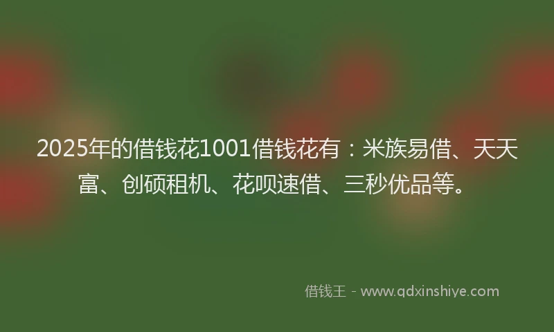 2025年的借钱花1001借钱花有：米族易借、天天富、创硕租机、花呗速借、三秒优品等。