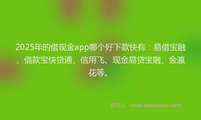 2025年的借现金app哪个好下款快有：易借宝融、借款宝快贷通、信用飞、现金易贷宝融、金瀛花等。