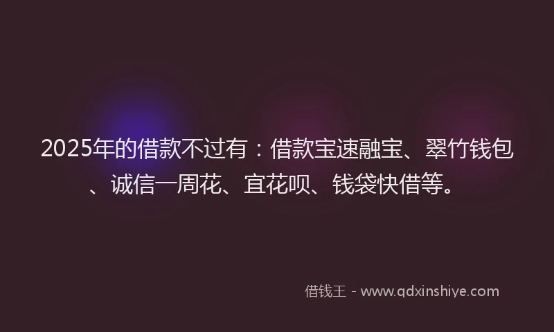2025年的借款不过有：借款宝速融宝、翠竹钱包、诚信一周花、宜花呗、钱袋快借等。