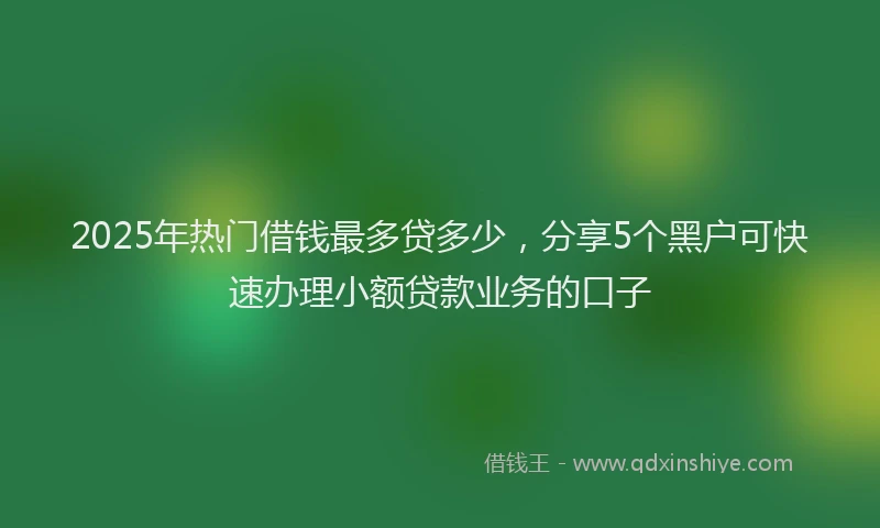 2025年热门借钱最多贷多少，分享5个黑户可快速办理小额贷款业务的口子