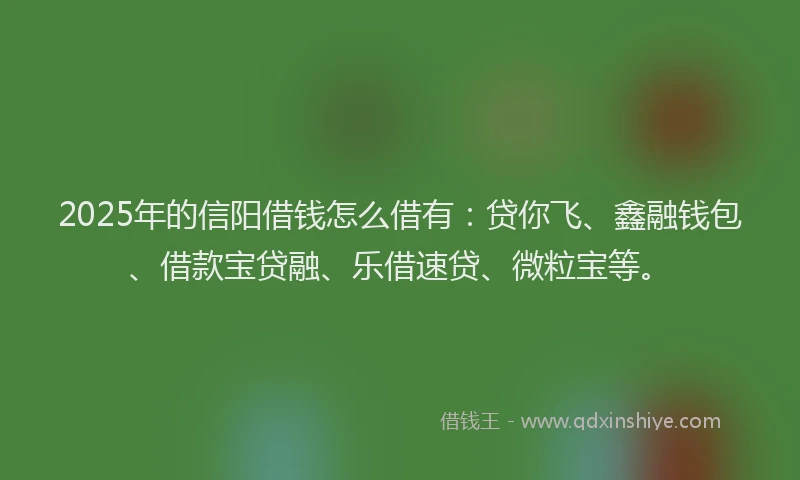 2025年的信阳借钱怎么借有：贷你飞、鑫融钱包、借款宝贷融、乐借速贷、微粒宝等。