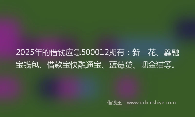 2025年的借钱应急500012期有：新一花、鑫融宝钱包、借款宝快融通宝、蓝莓贷、现金猫等。
