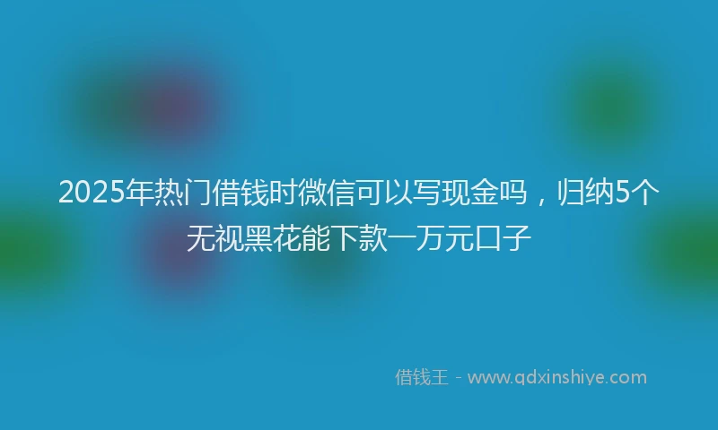 2025年热门借钱时微信可以写现金吗，归纳5个无视黑花能下款一万元口子